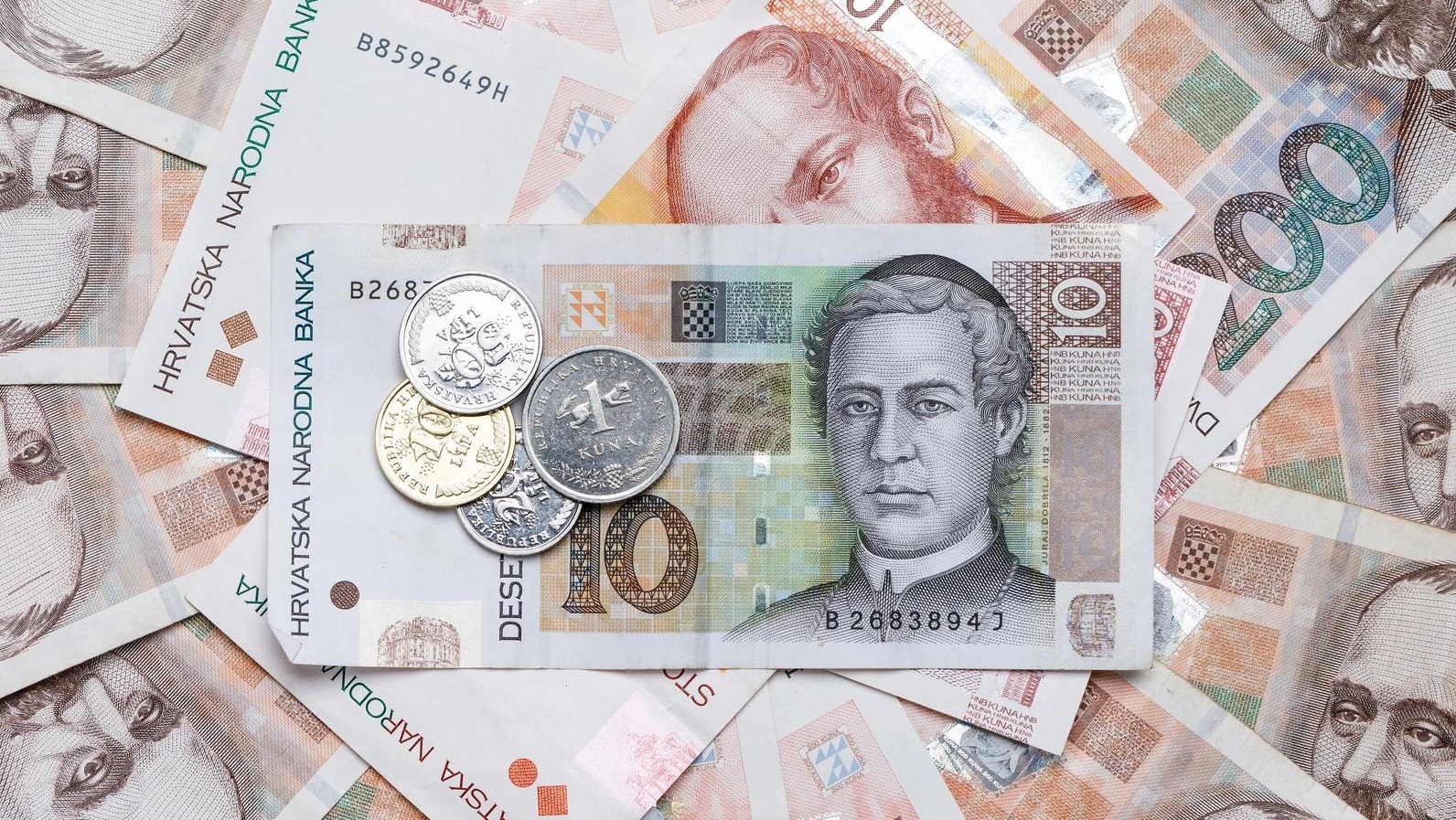 Bulj: Vratimo kunu