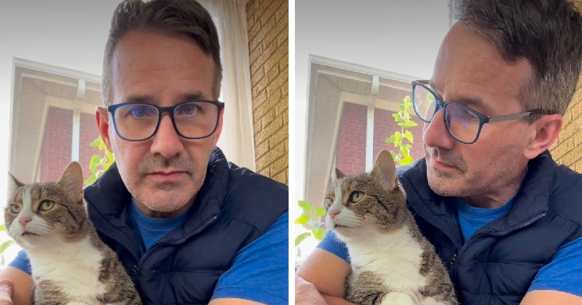 Veterinaru pisali da je "odvratno" puštati mačke na namještaj. Njegov odgovor je hit