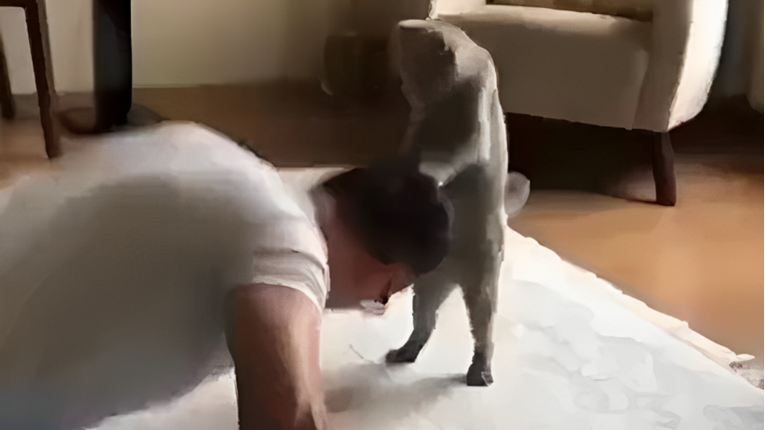 Nema milosti: Video ove mace trenerice i njezinog vlasnika je urnebesan