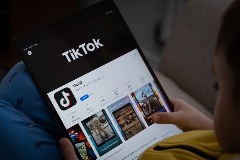 Djecu online zlostavljaju, ismijavaju... U Hrvatskoj 231 prijava