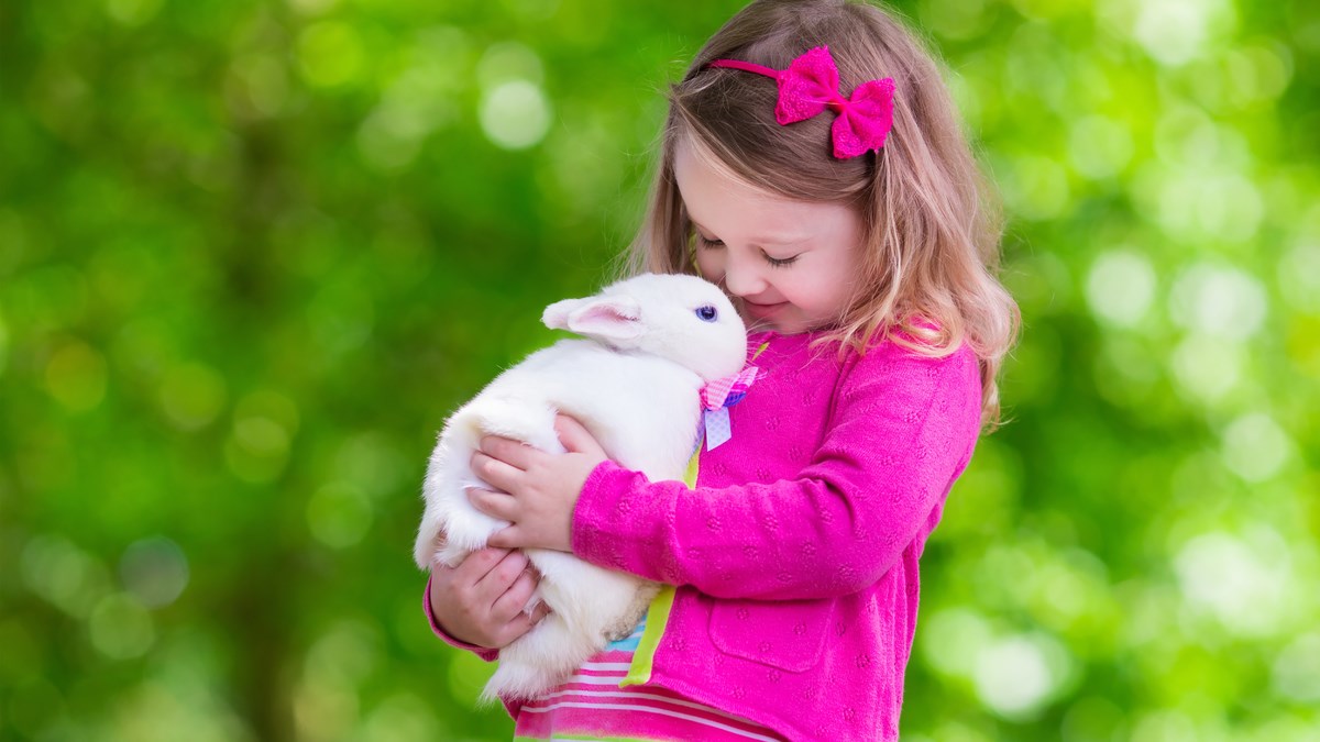 Danas je dan ljubimaca. Saznajte kako ga proslaviti
