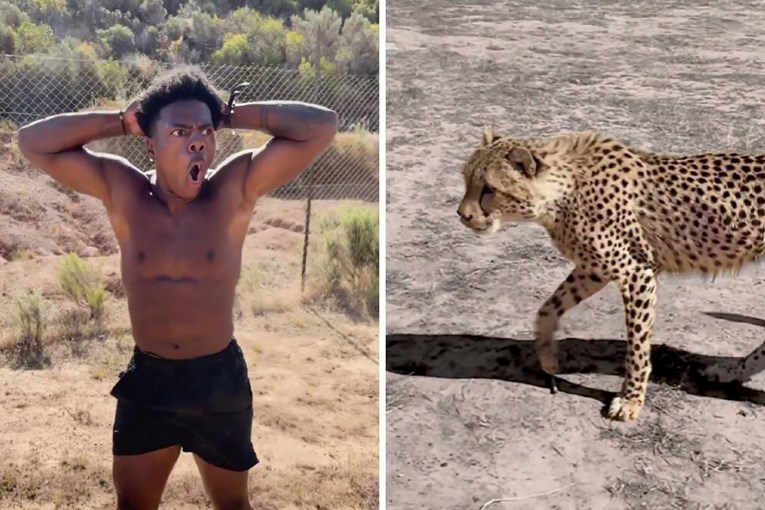 IShowSpeed se utrkivao protiv geparda u Africi