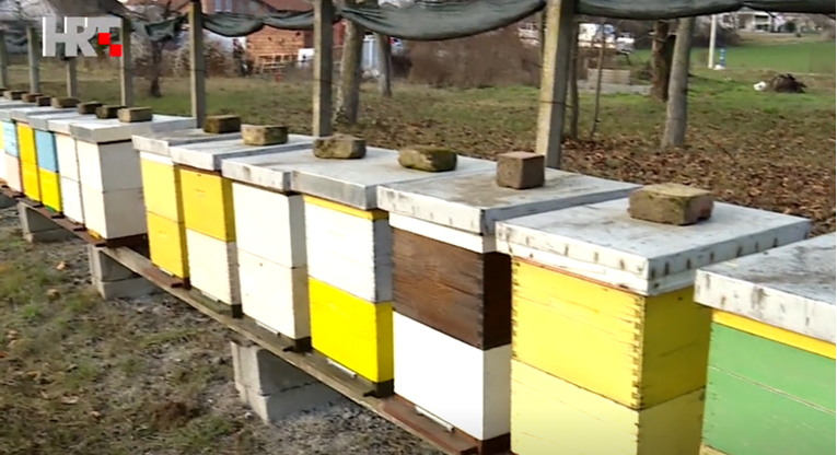 Tople zime pčelarima stvaraju probleme. "Slavonija postaje pustinja"