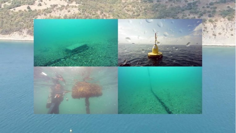 EPPO otkrio prevaru u Bugarskoj. Umjesto farme dagnji u moru pronašli pijesak