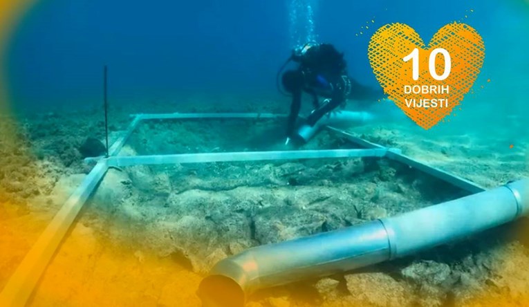 10 dobrih vijesti tjedna