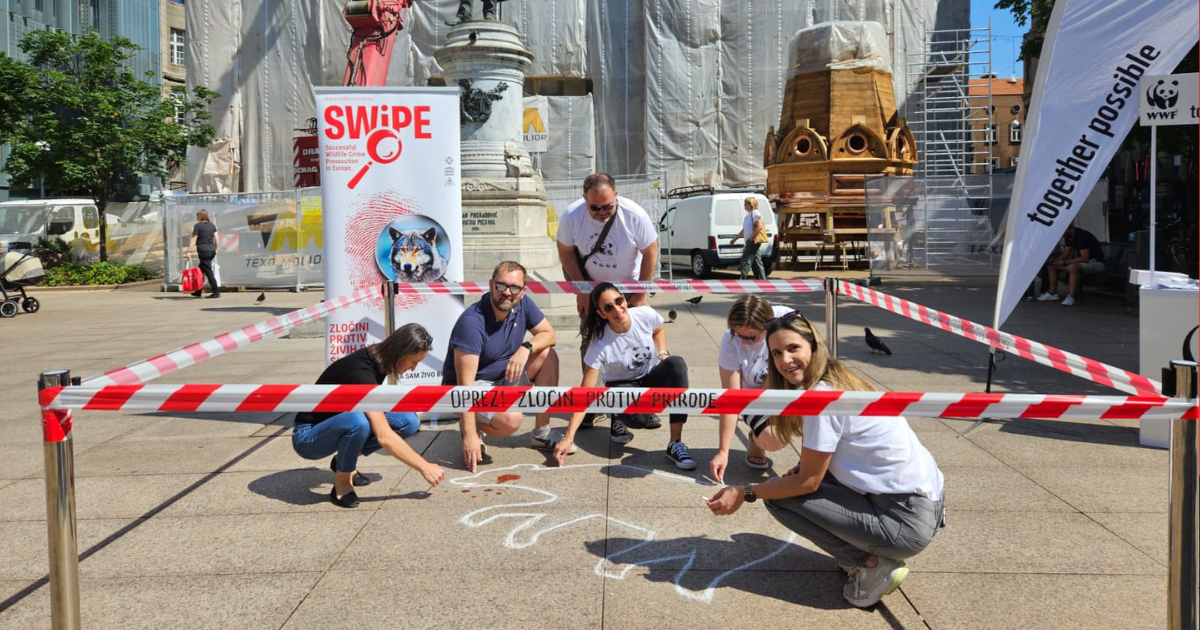 Neobična scena u centru Zagreba: Iscrtali truplo medvjeda i poslali važnu poruku