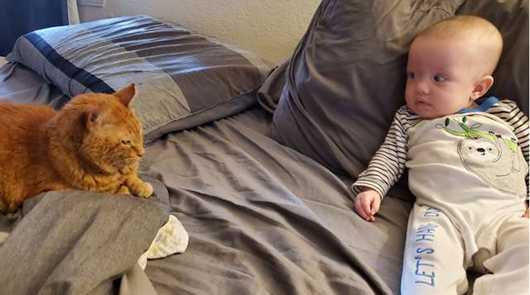 Mačak se pretvarao da ne voli bebu svojih vlasnika, a onda su ugledali ovo