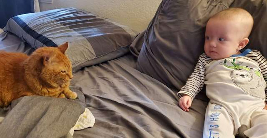 Mačak se pretvarao da ne voli bebu svojih vlasnika, a onda su ugledali ovo