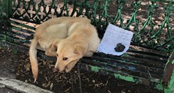 Dječak napustio psa na klupi u parku, uz njega ostavio poruku koja slama srca