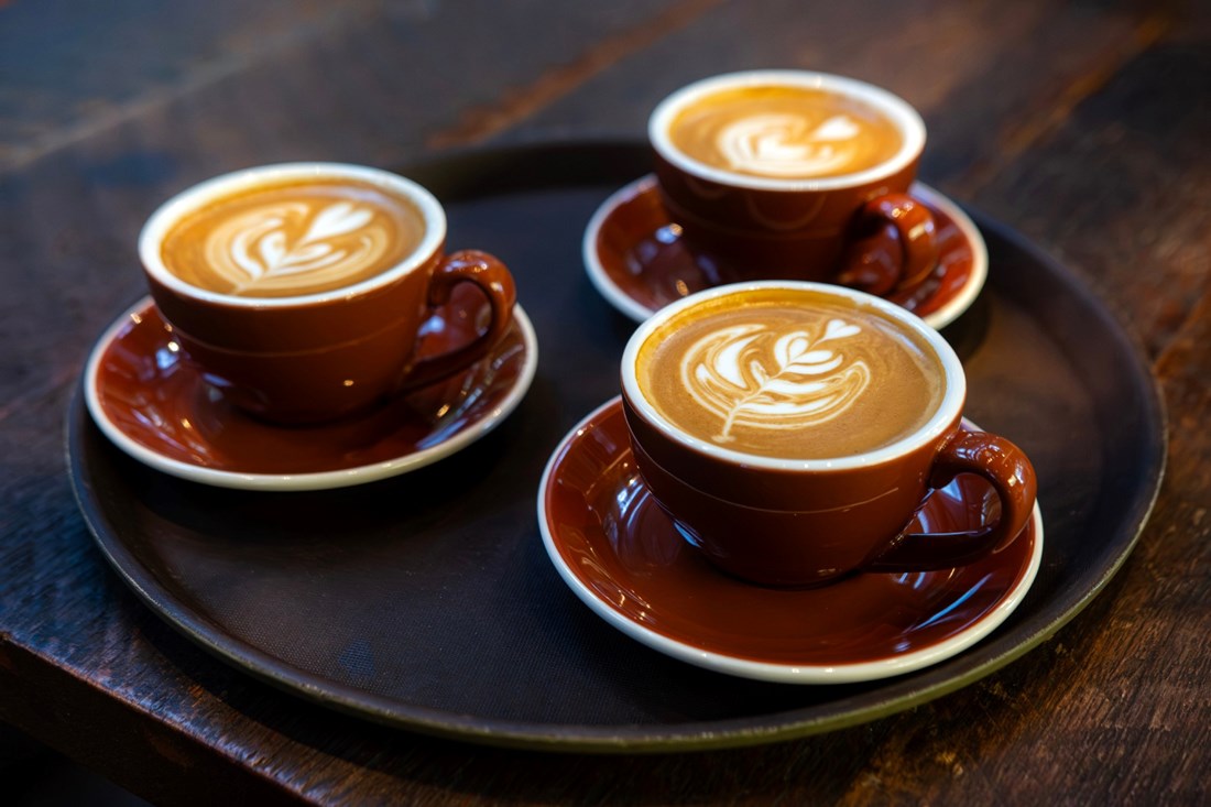 Luta se zatvara, no Zagreb ima još nekoliko odličnih specialty kafića. Imamo popis