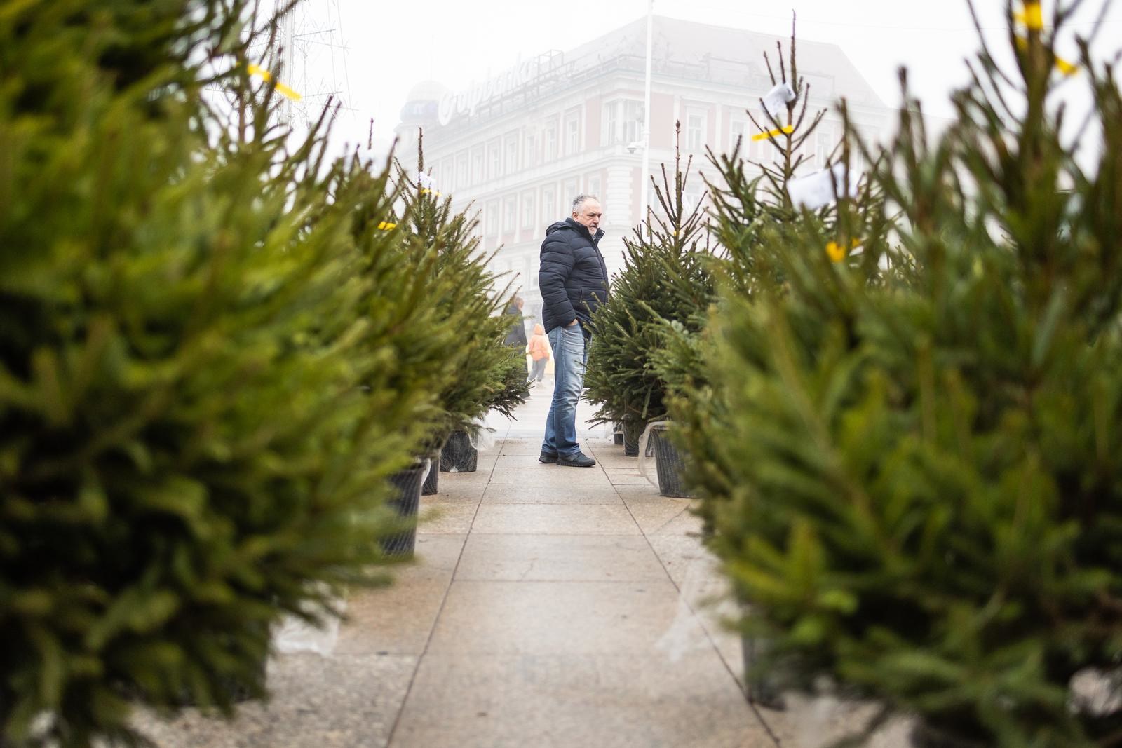 Na Trgu bana Jelačića prodaju se božićna drvca po 30/40 eura (u humanitarne svrhe)
