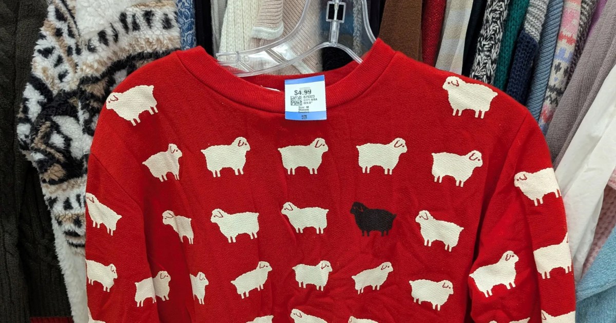 Kupila je džemper za 4 eura, vrlo brzo je shvatila da nije nimalo običan