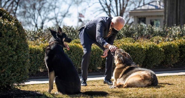 Bidenovi psi morali napustiti Bijelu kuću zbog agresivnog ponašanja