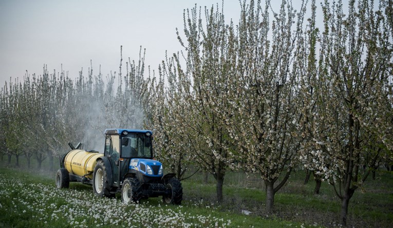 EU zabranjuje uvozno voće tretirano insekticidom štetnim za ljudsko zdravlje