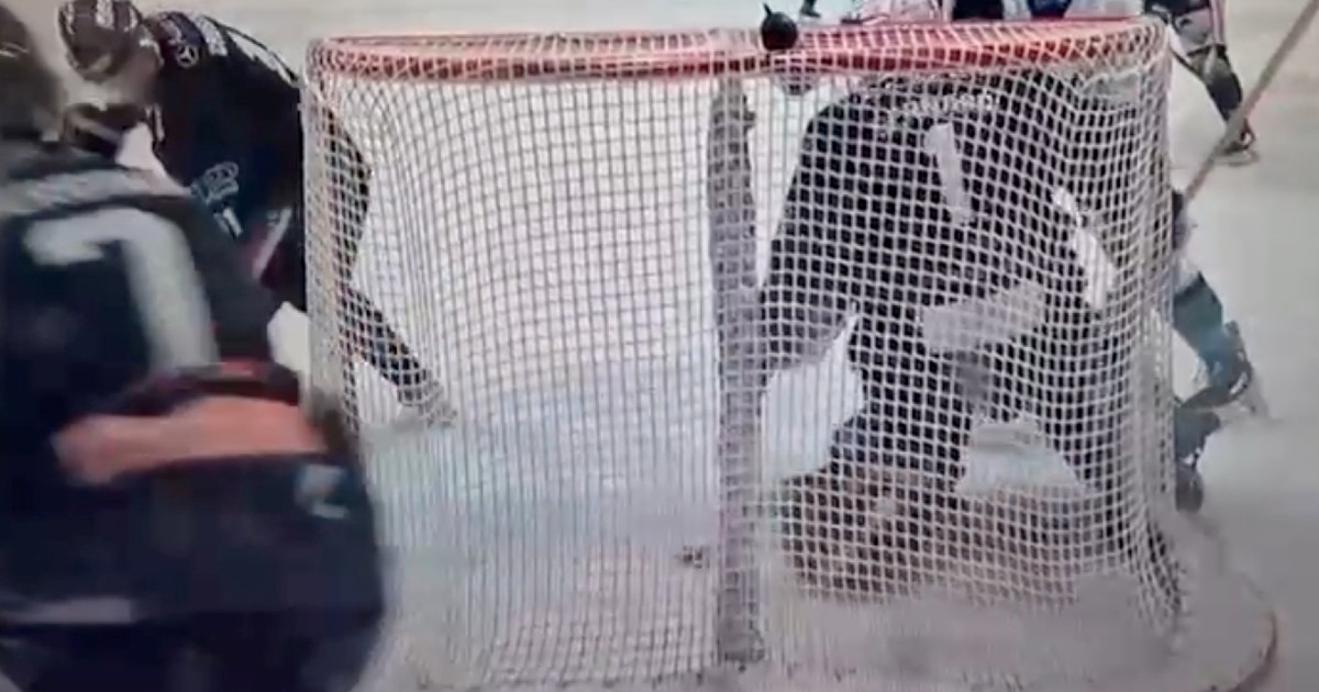 Pogledajte kakav sažetak je Alpska liga objavila nakon bizarno poništenog gola Sisku