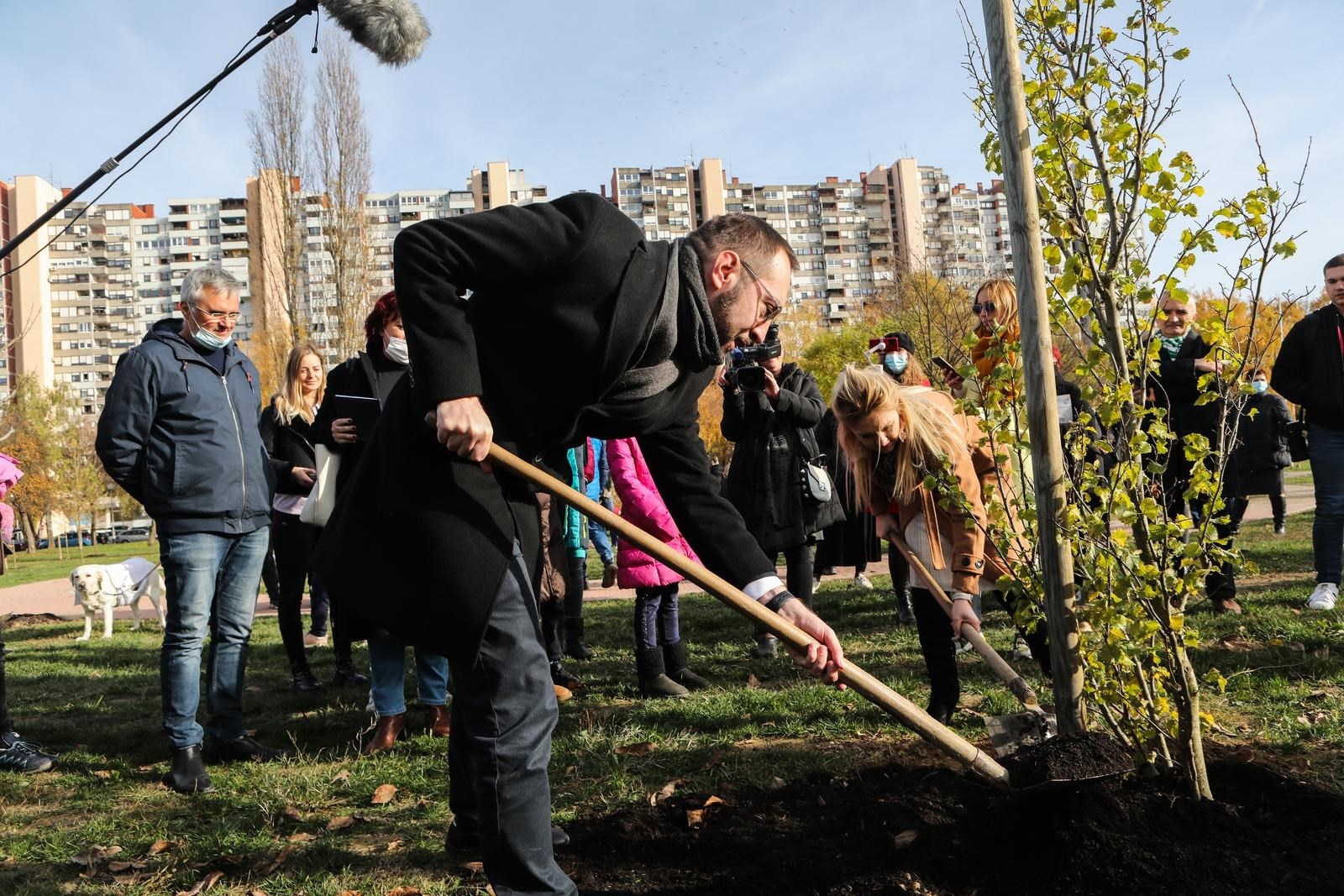 Grad Zagreb jedno drvo plaća 462 eura