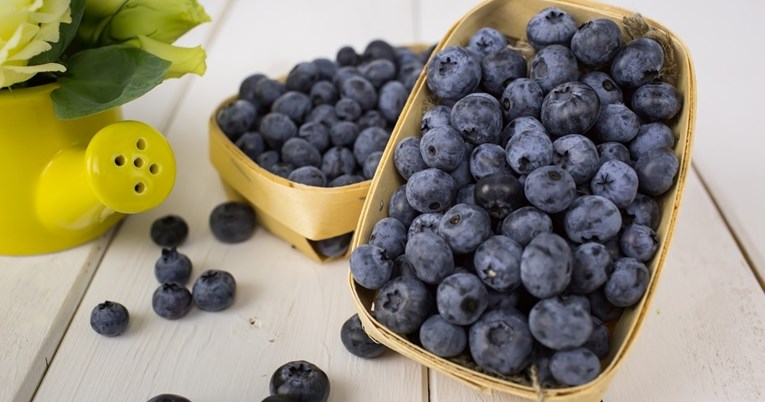 Zašto su borovnice odličan izbor ako imate povišen kolesterol?
