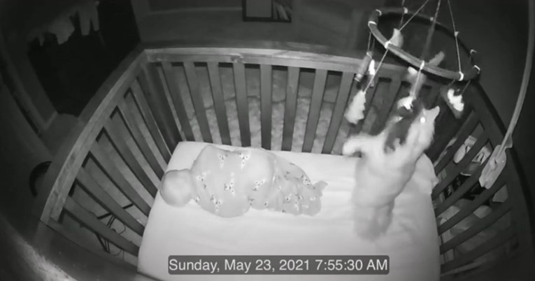 Kamera snimila što mačka noću radi u krevetiću kraj bebe