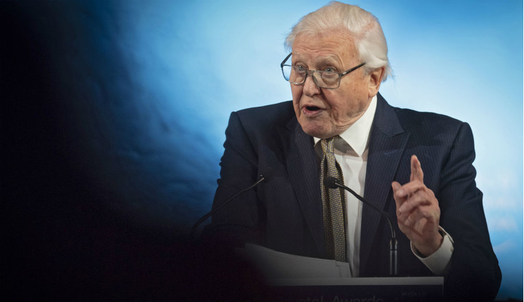 David Attenborough poslao dramatično upozorenje: "Trenutak krize je nastupio"