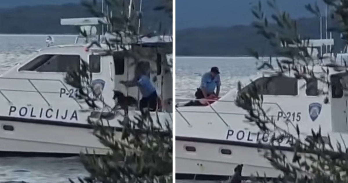 Policajac na Pašmanu s broda bacio psa. Svjedok: Mi smo ga spasili, ostao je sam