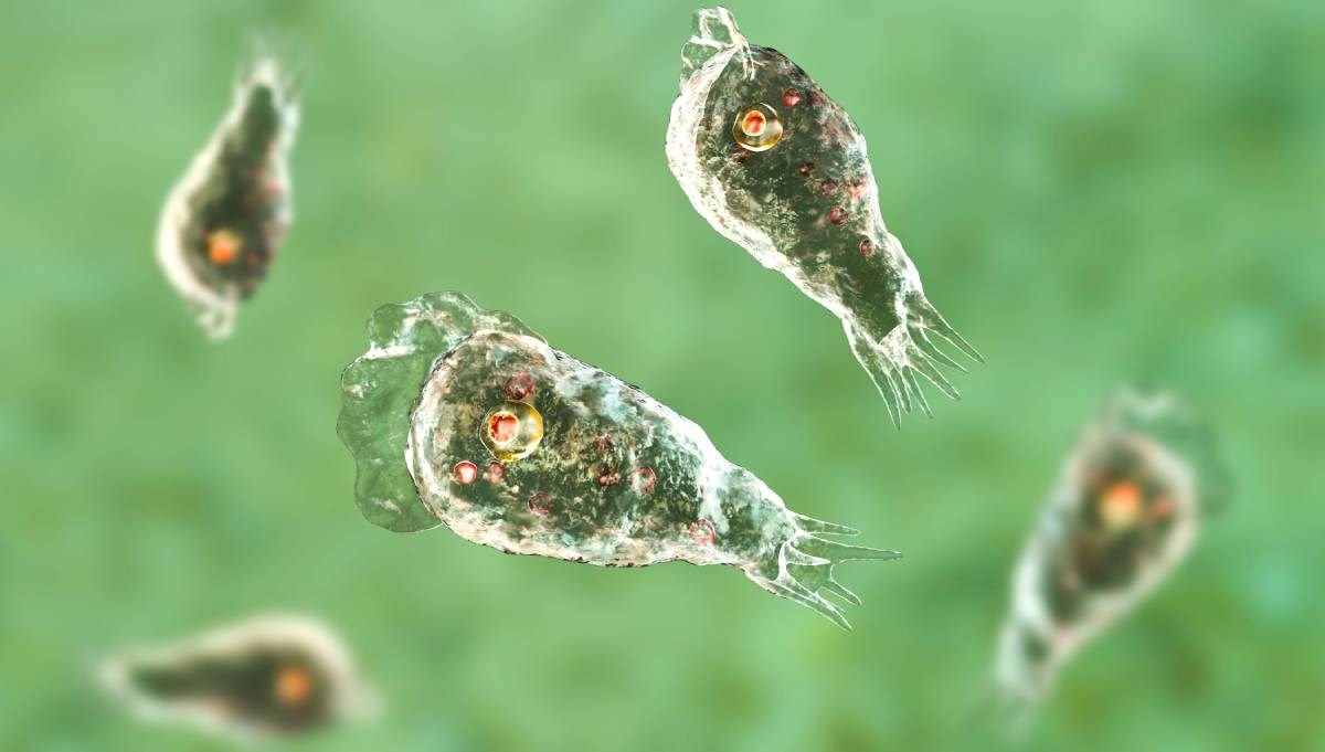 Dijete u SAD-u umrlo nakon plivanja u rijeci. Zarazilo se amebom koja jede mozak?