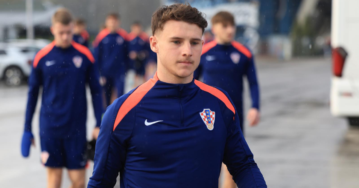 ANKETA Treba li Dalić zvati Segečića na Svjetsko prvenstvo?