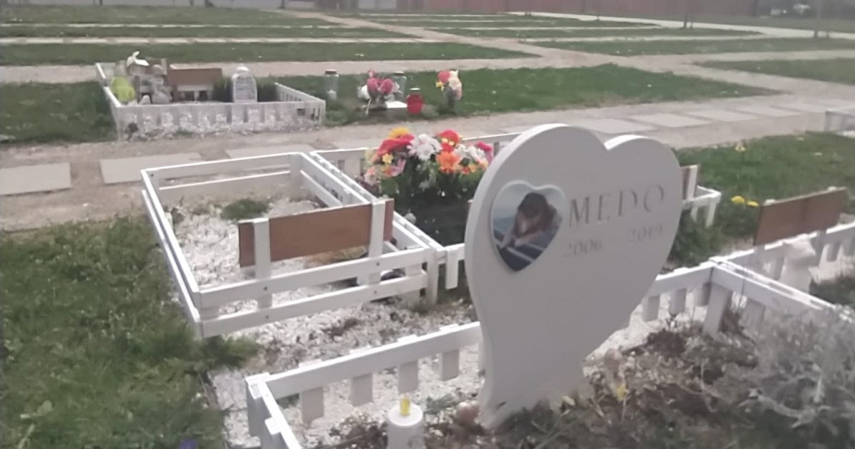 Raste interes za groblje kućnih ljubimaca: Dolaze vlasnici iguana, kunića i kornjača