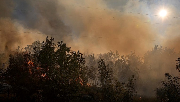 Pod kontrolom požar kod Kruševa, gorjelo nisko raslinje