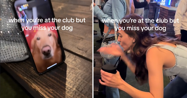 11 milijuna pregleda: Vlasnica zove svog psa na video poziv dok partija u klubu