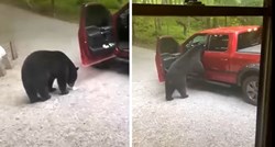VIDEO Medvjed ušao u vozilo, pogledajte što je napravio