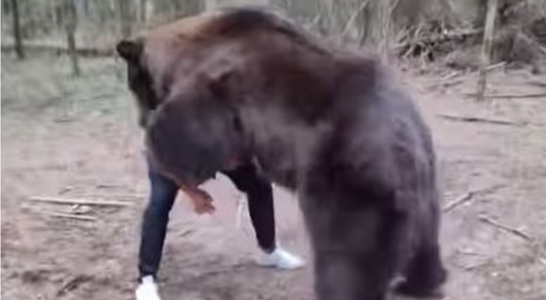 MMA borac šokirao fanove snimkom na kojoj se bori s odraslim medvjedom