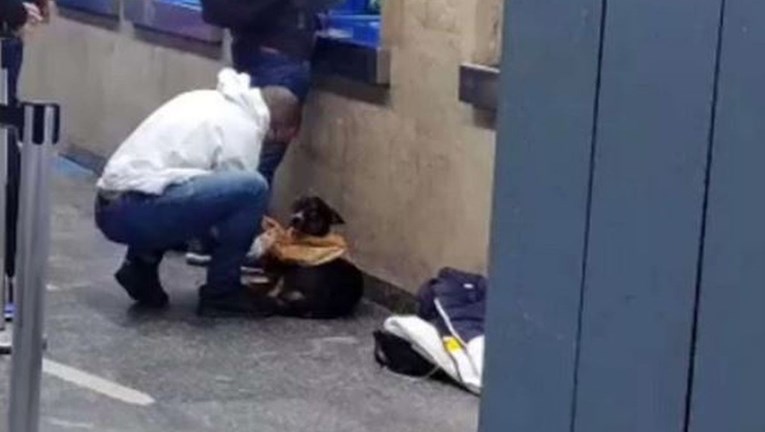 Čovjek skinuo majicu i dao je promrzlom psu lutalici kojeg je ugledao u podzemnoj