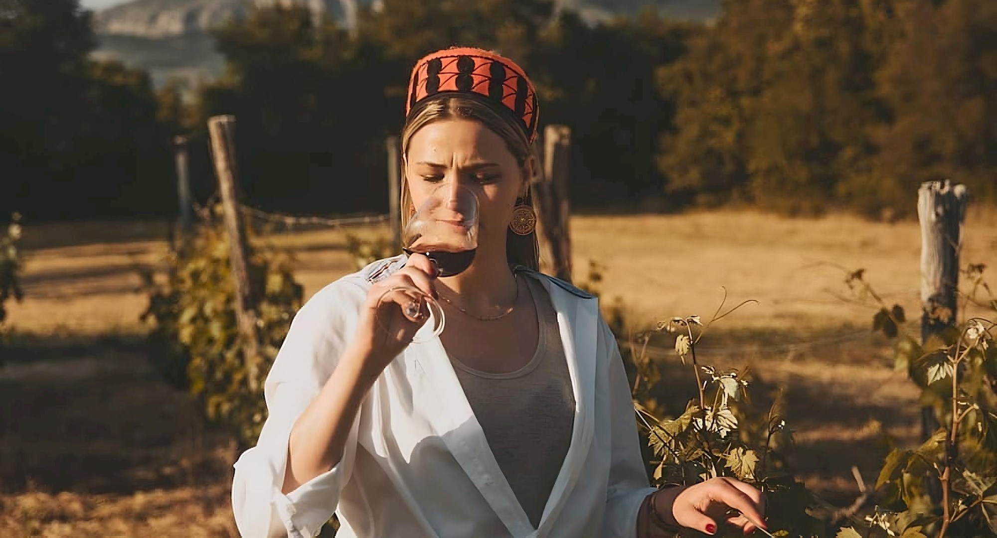 Merlot je među najpoznatijim sortama na svijetu, a vole ga i u Drnišu