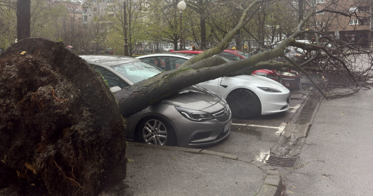 FOTO Vjetar u Zagrebu iščupao ogromno drvo, palo na automobile