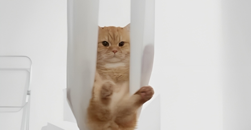 Zen maca otkrila čari joge... Na neki svoj način
