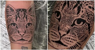 VIDEO Obožavateljica tetovirala mačku, snimku objavio i Baby Lasagna