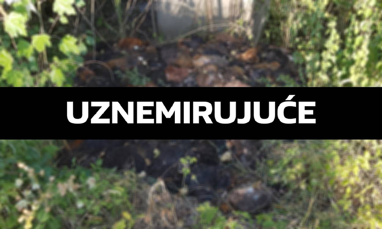 FOTO Netko je kod Sveučilišne bolnice u Zagrebu bacio hrpu mrtvih kokoši