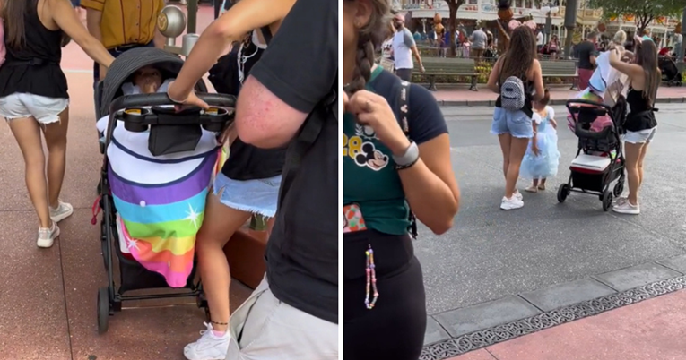 ''Prošvercali" dijete u Disneyland kako ne bi platili ulaz, snimka je postala viralna
