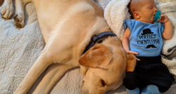 Pas i beba uživaju u maženju i to izgleda najslađe na svijetu