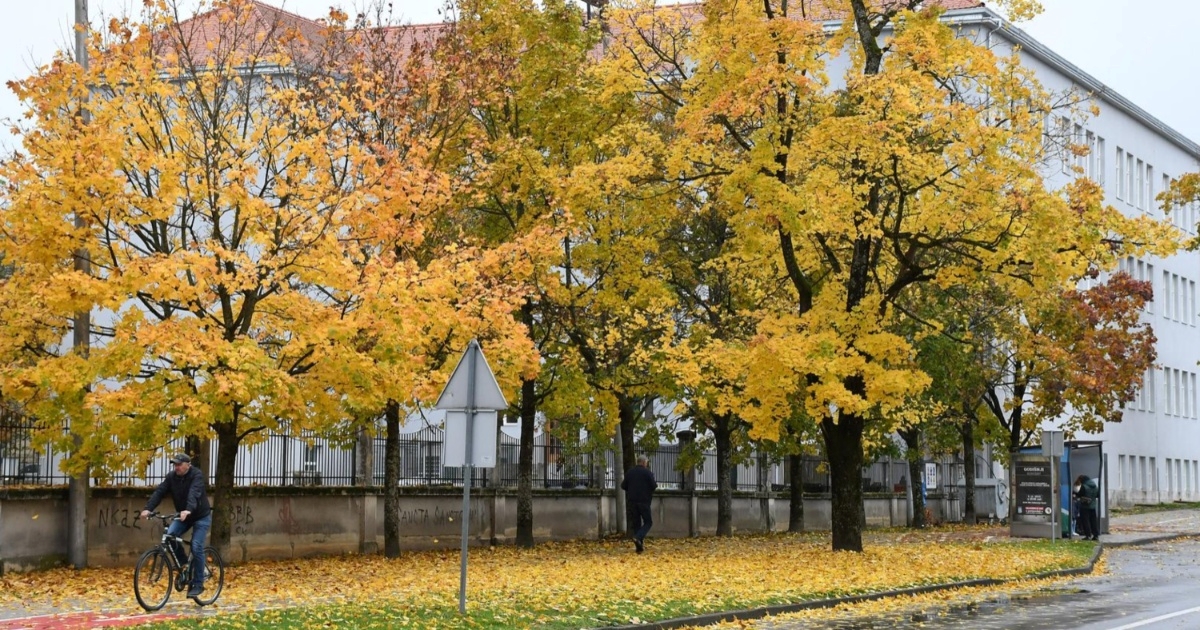 FOTO Jesenski prizori iz Siska su predivni