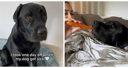 Prizor koji topi srca: Vlasnica uzela slobodan dan kako bi se brinula o bolesnom psu