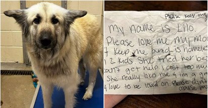 "Molim te, voli me": Beskućnica napustila psa uz dirljivu poruku, azil ih opet spojio