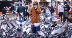 FOTO Divni prizori s Baščaršije: Prolaznici se igrali s golubovima i hranili ih