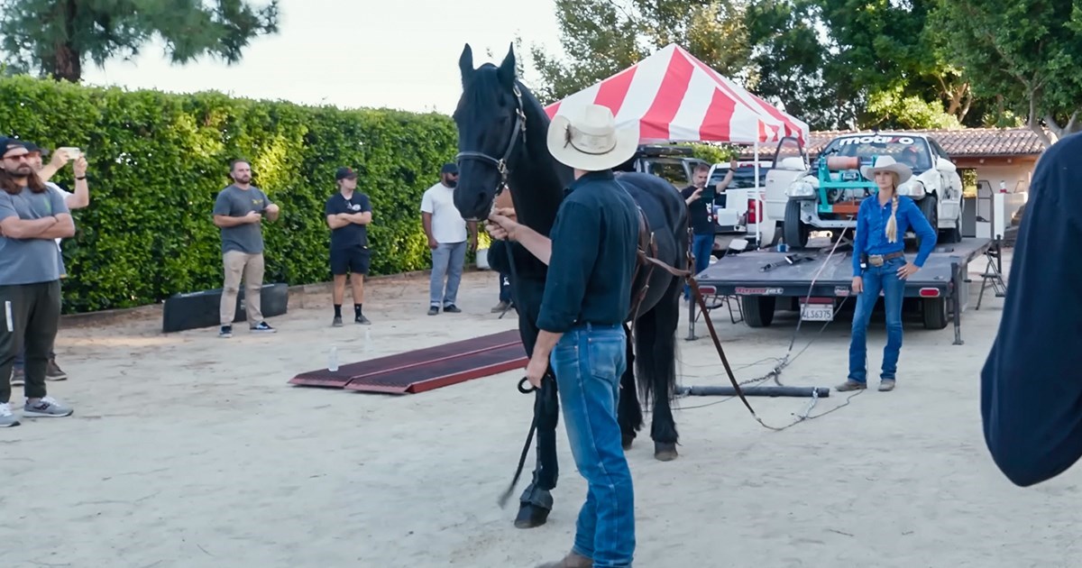 VIDEO Koliko konjskih snaga ima jedan konj?
