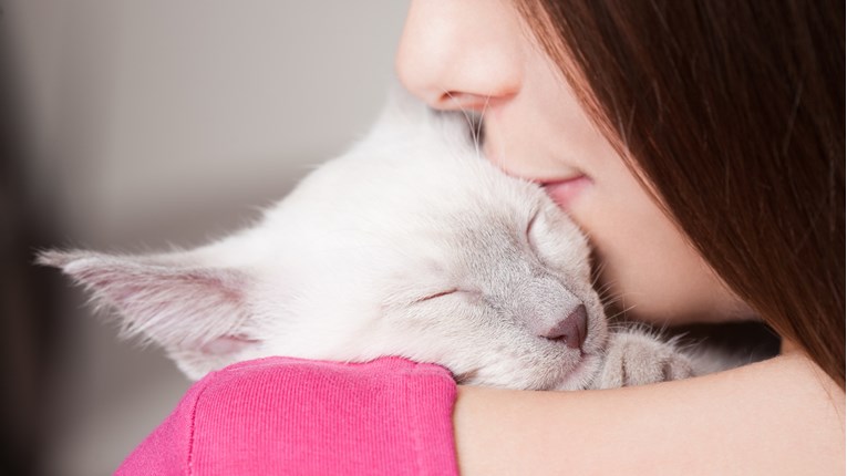 Saznajte 6 znakova kojima vam mačka pokazuje da vas voli