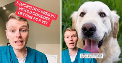 Veterinar otkrio kojih pet pasmina pasa bi htio imati za kućne ljubimce