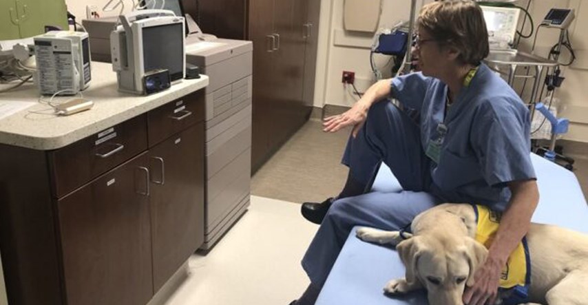 Terapijski pas pomaže medicinskom osoblju u borbi protiv koronavirusa