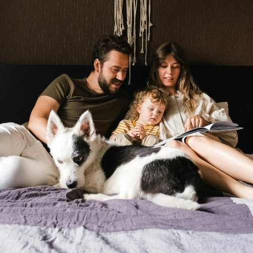 Pet knjiga o psima koje bi se mogle svidjeti vašem djetetu
