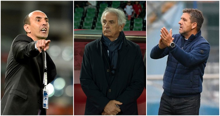 ANKETA Tko bi trebao biti trener Dinama? (2)