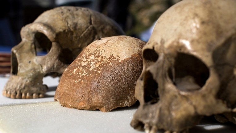 Znanstvenici: Neandertalci su prije 70.000 godina kuhali jela od sušenih mahunarki